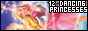 The Twelve Dancing Princesses Fanlisting